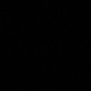 Meet your Posher, Gene